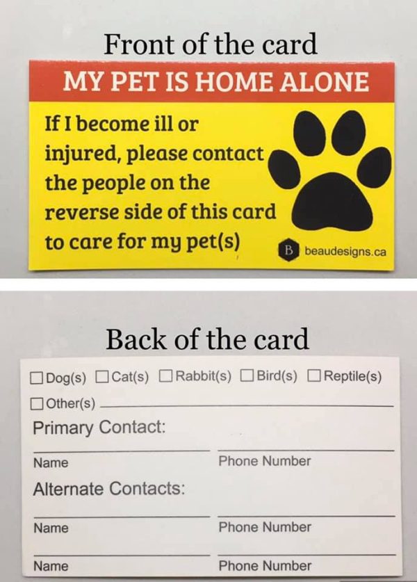 Emergency Contact Kit - My Pet Is Home Alone - Image 2